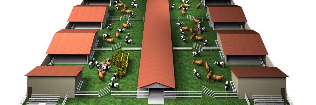 Tarımsal Yapılar Ve Sulama Bölümü Nedir? İş Olanakları Nelerdir?